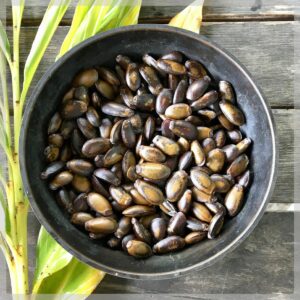 করোসল বীজ | soursop seeds | corossol exotic fruit seeds in bangladesh