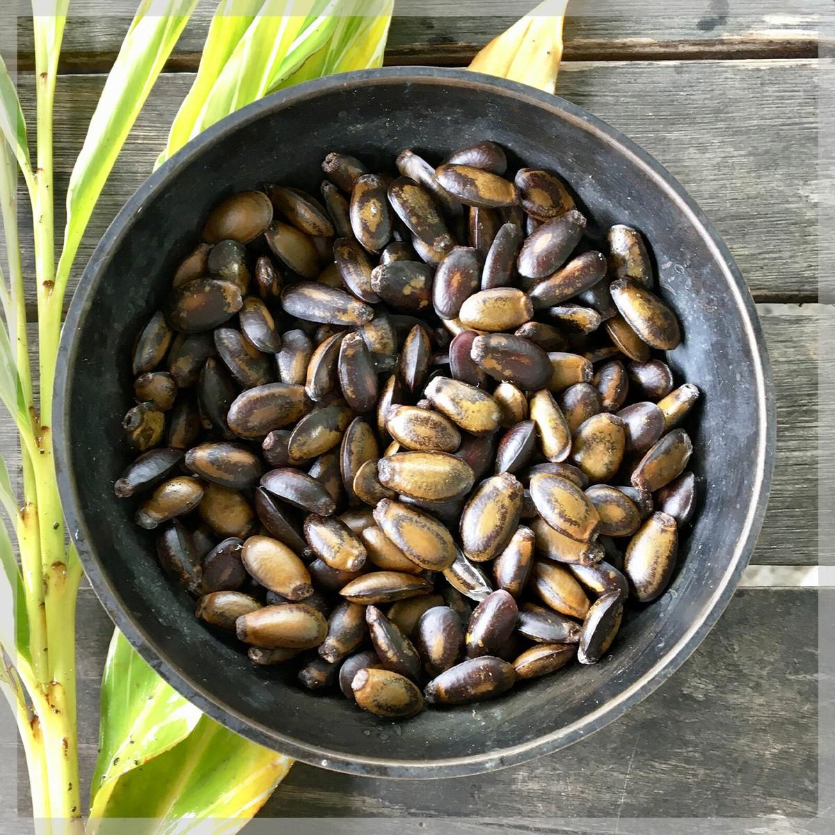 করোসল বীজ | soursop seeds | corossol exotic fruit seeds in bangladesh করোসল বীজ | soursop seeds | corossol exotic fruit seeds in bangladesh