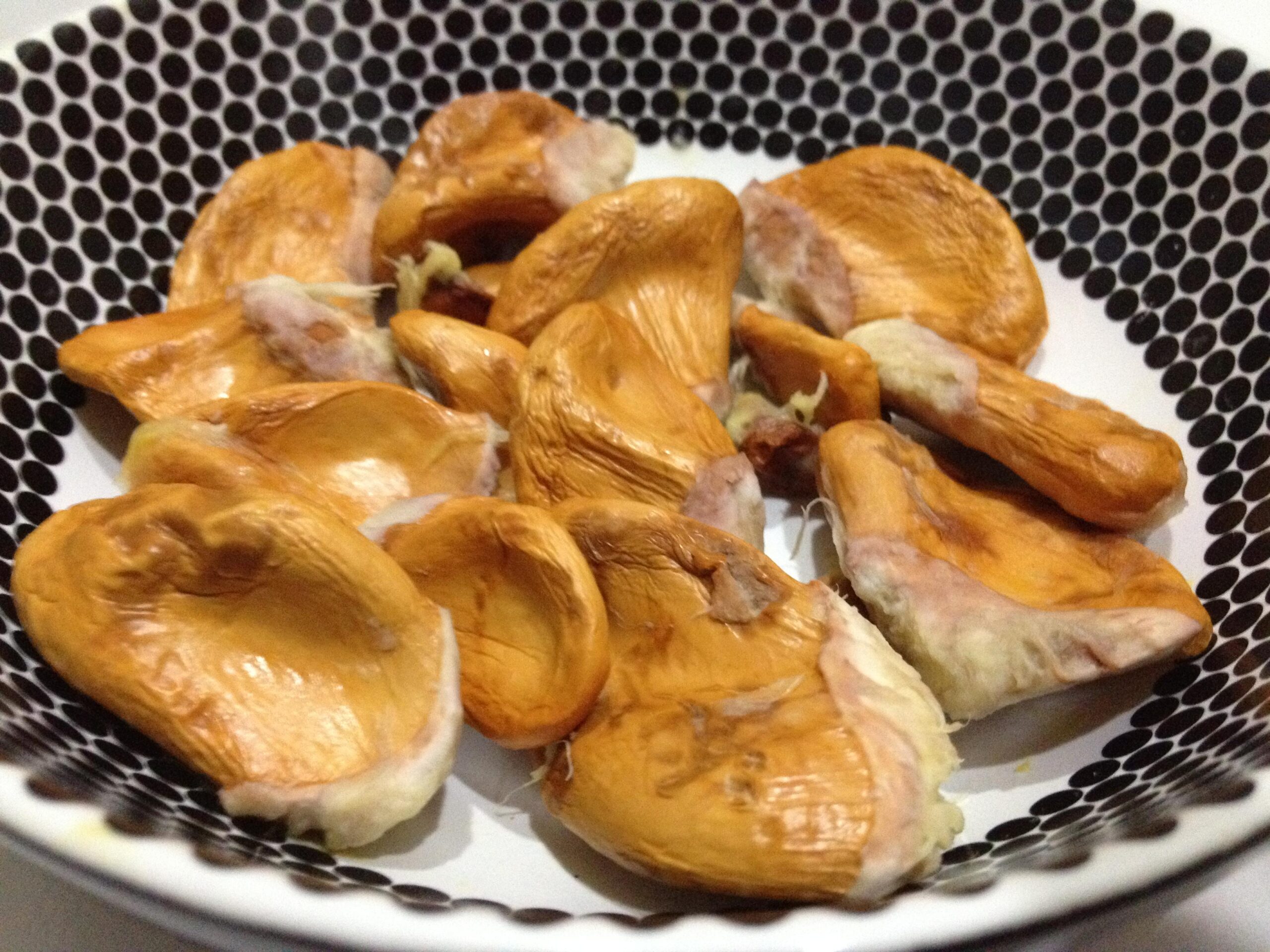 ডুরিয়ান বীজ | durian seeds | premium exotic fruit seeds in bangladesh ডুরিয়ান বীজ | durian seeds | premium exotic fruit seeds in bangladesh