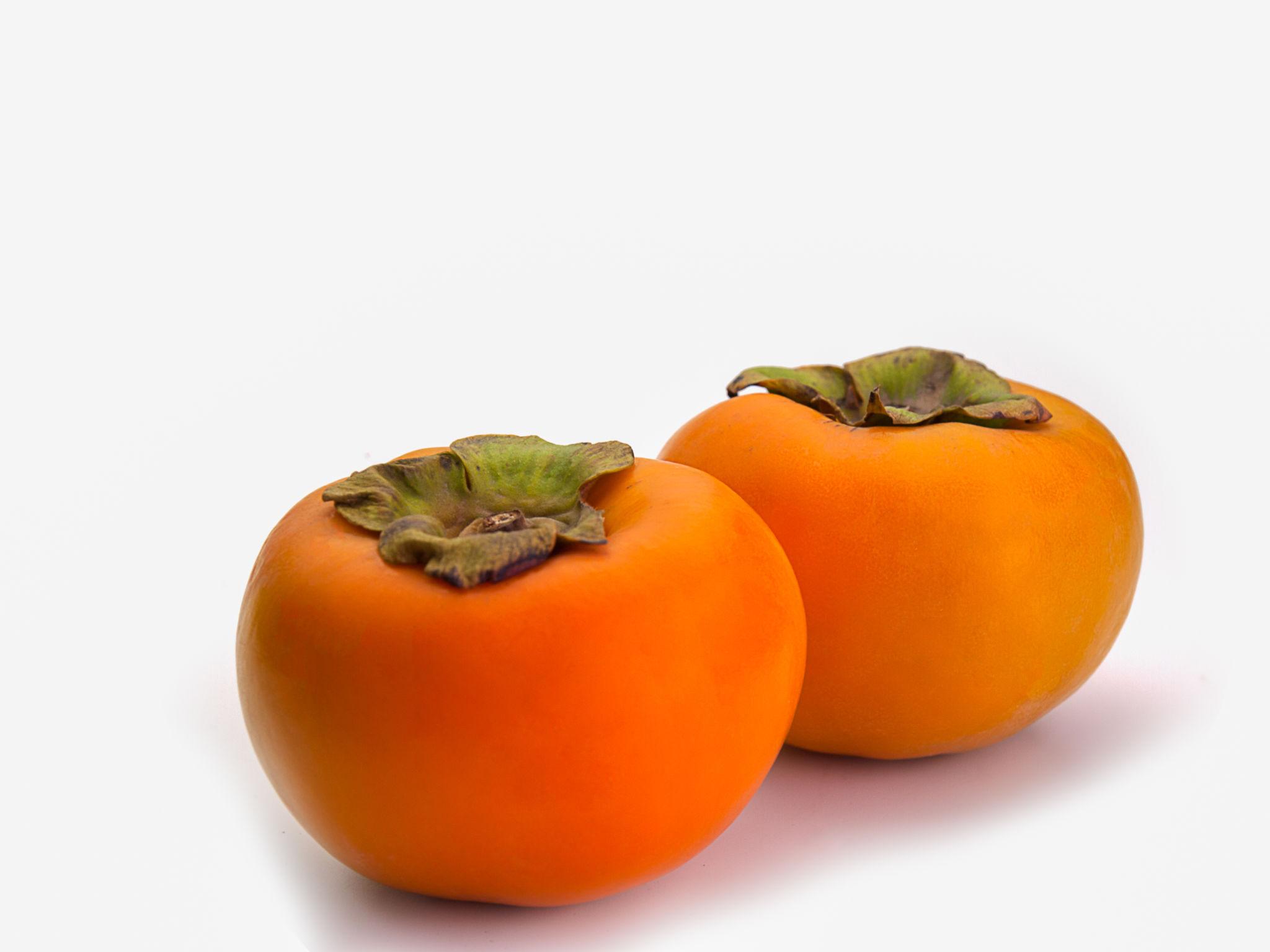 পার্সিমন গাছের চারা | persimmon plant | japanese khormalu fruit tree in bangladesh পার্সিমন গাছের চারা | persimmon plant | japanese khormalu fruit tree in bangladesh